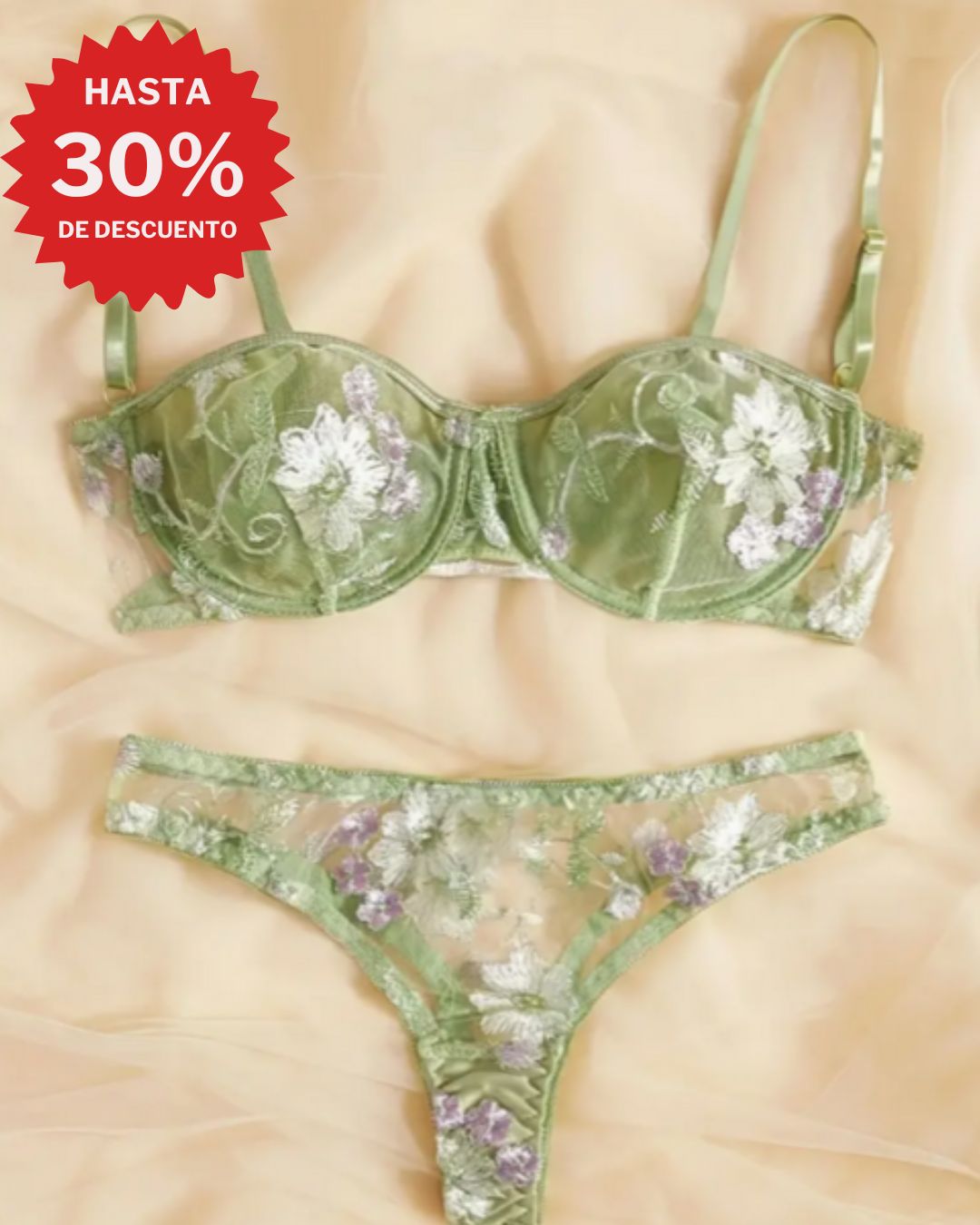 Set Begonia